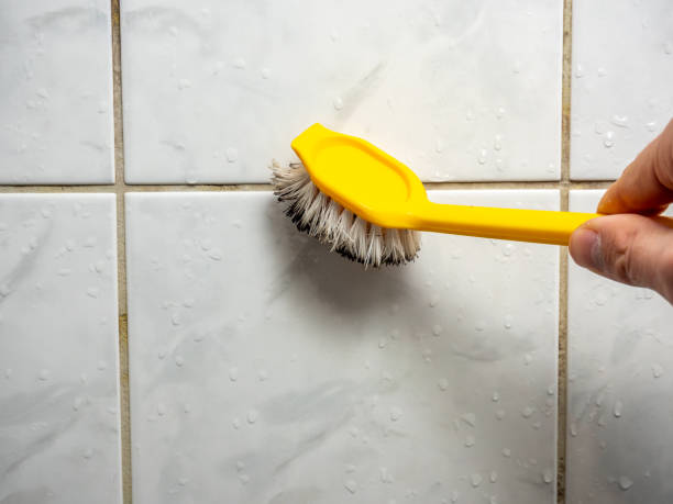  Rio Vista, TX Mold Removal Pros