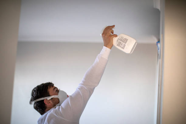 Best Mold Remediation for Schools in Rio Vista, TX