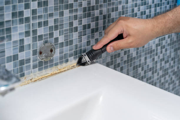 Best Black Mold Remediation in Rio Vista, TX
