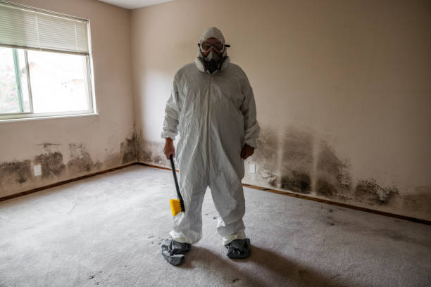Rio Vista, TX Mold Remediation Company